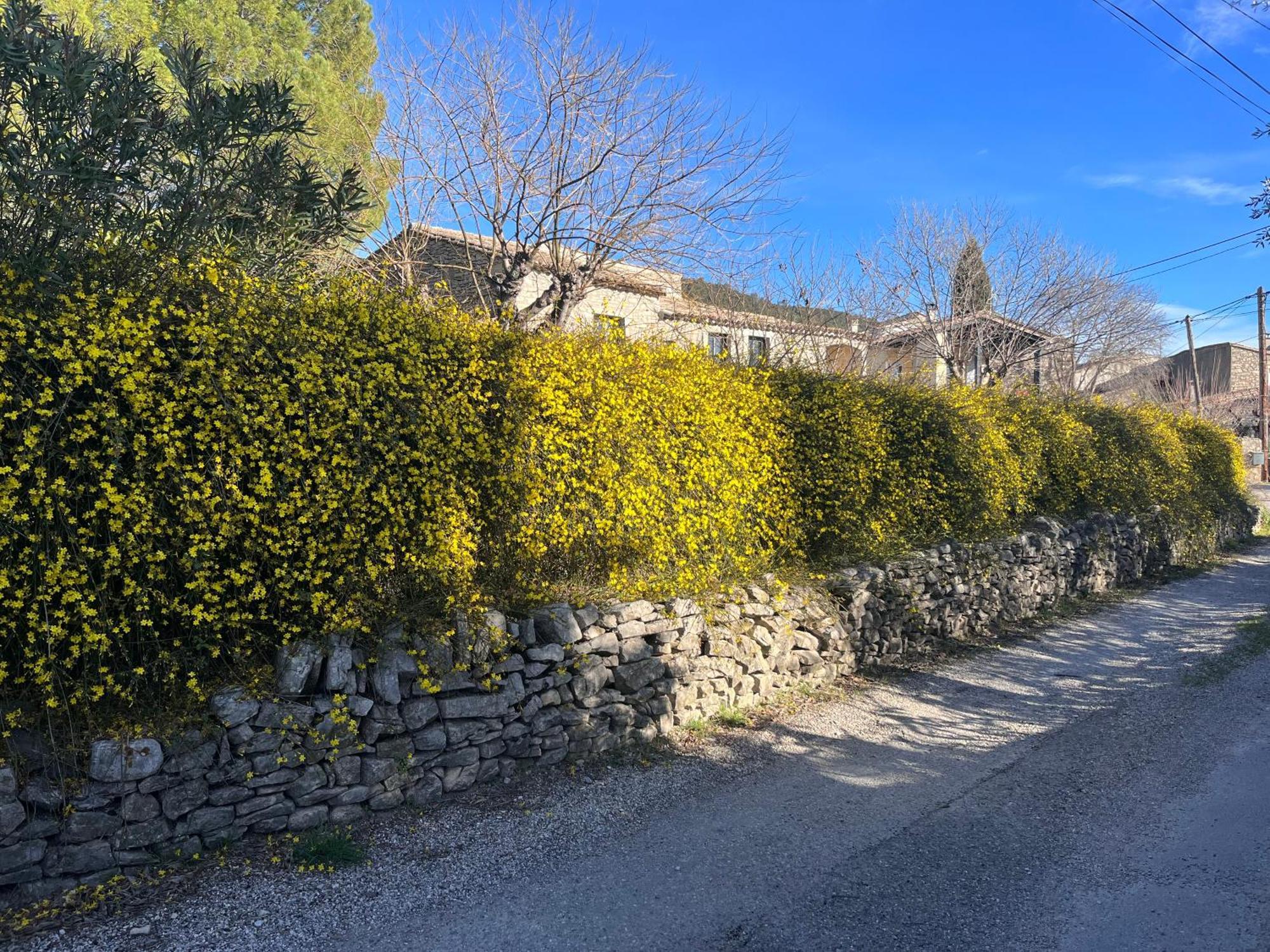 L'Ostal Du Pic Saint Loup Aux Embruscalles Claret ภายนอก รูปภาพ